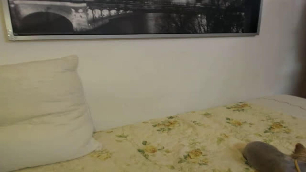 Marylulu MyFreeCams [2017-10-28 14:50:37]