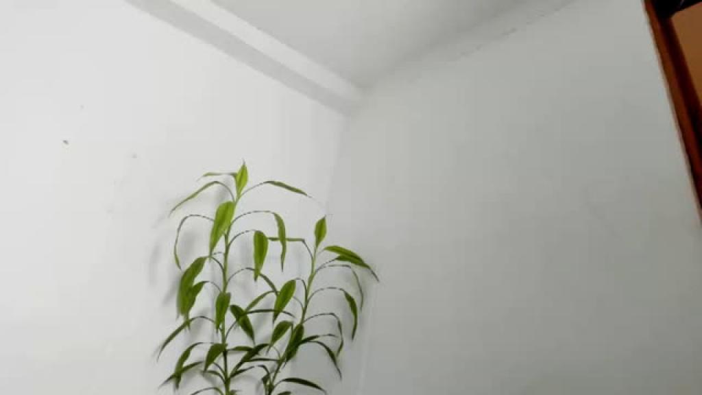 sheila_makano [2019-09-29 02:15:10]