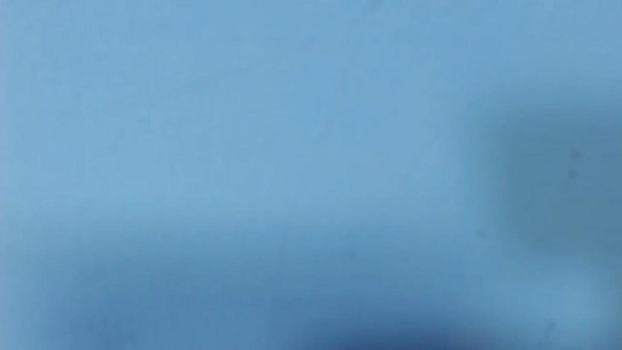 birdiepurple [2017/06/18 08:54:53]